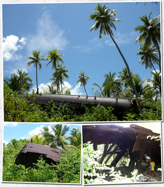 l'épave dans les cocotiers
