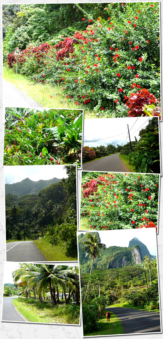 Bords de route Raiatea